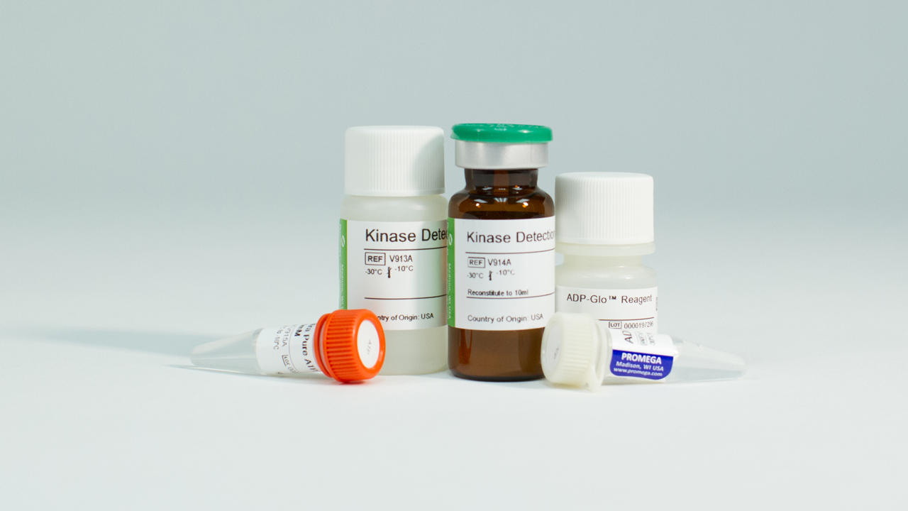 Kinase Assays