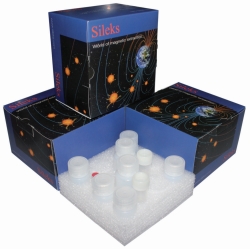 Isolation kits DNA/RNA, magnetic beads